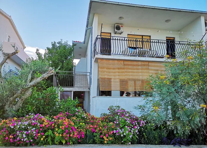 Three Olive Trees Apartment - Okrug, Ciovo